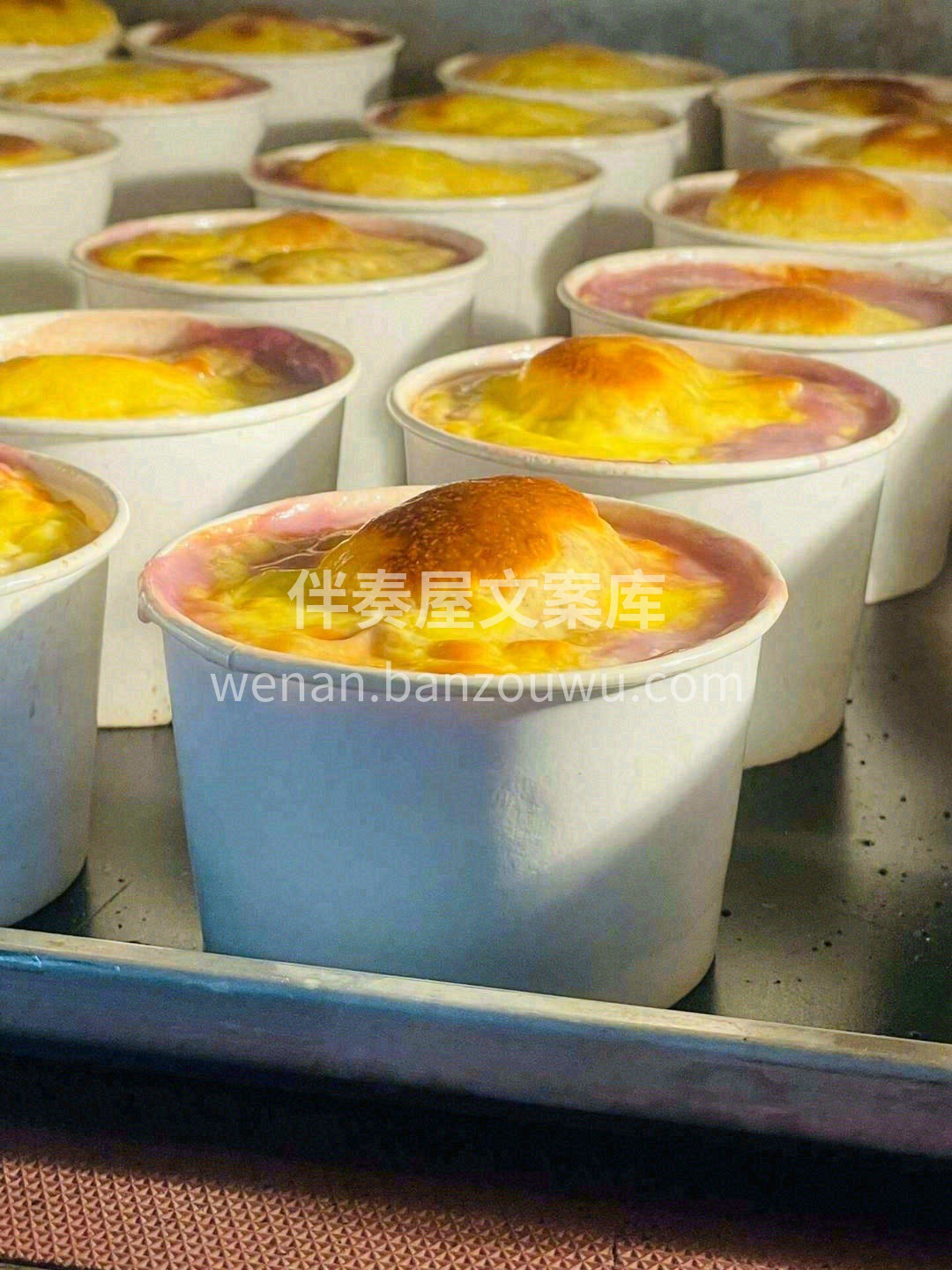 冬日的暖阳里🔆， 🍁风无声，🌸花不语，满 配图2