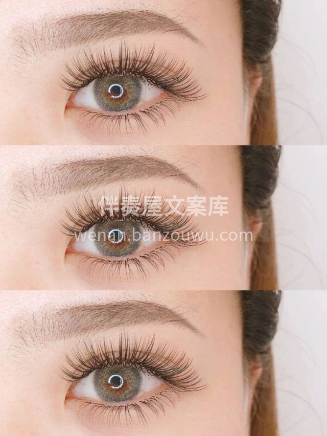 #今日份美睫# 世间万物皆风景 偶然与你