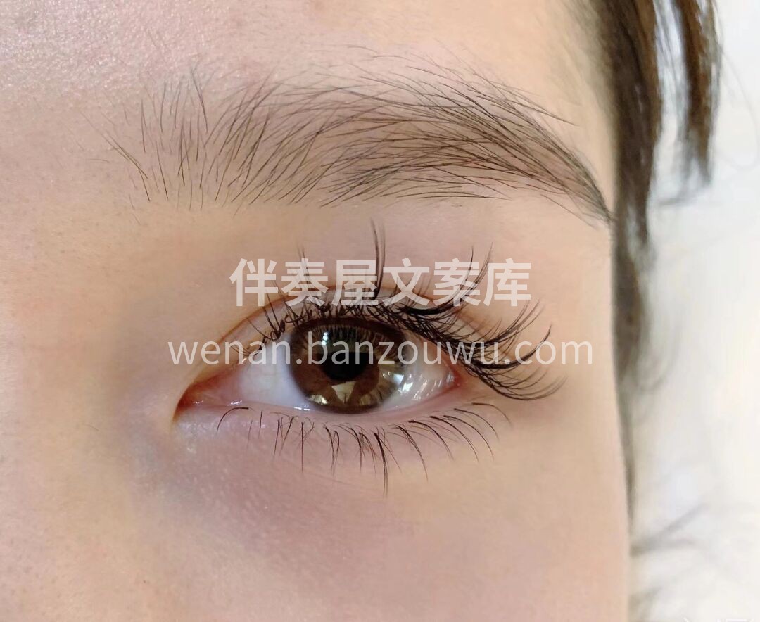 上下睫毛都灵动才最好 不要让下睫毛孤独终