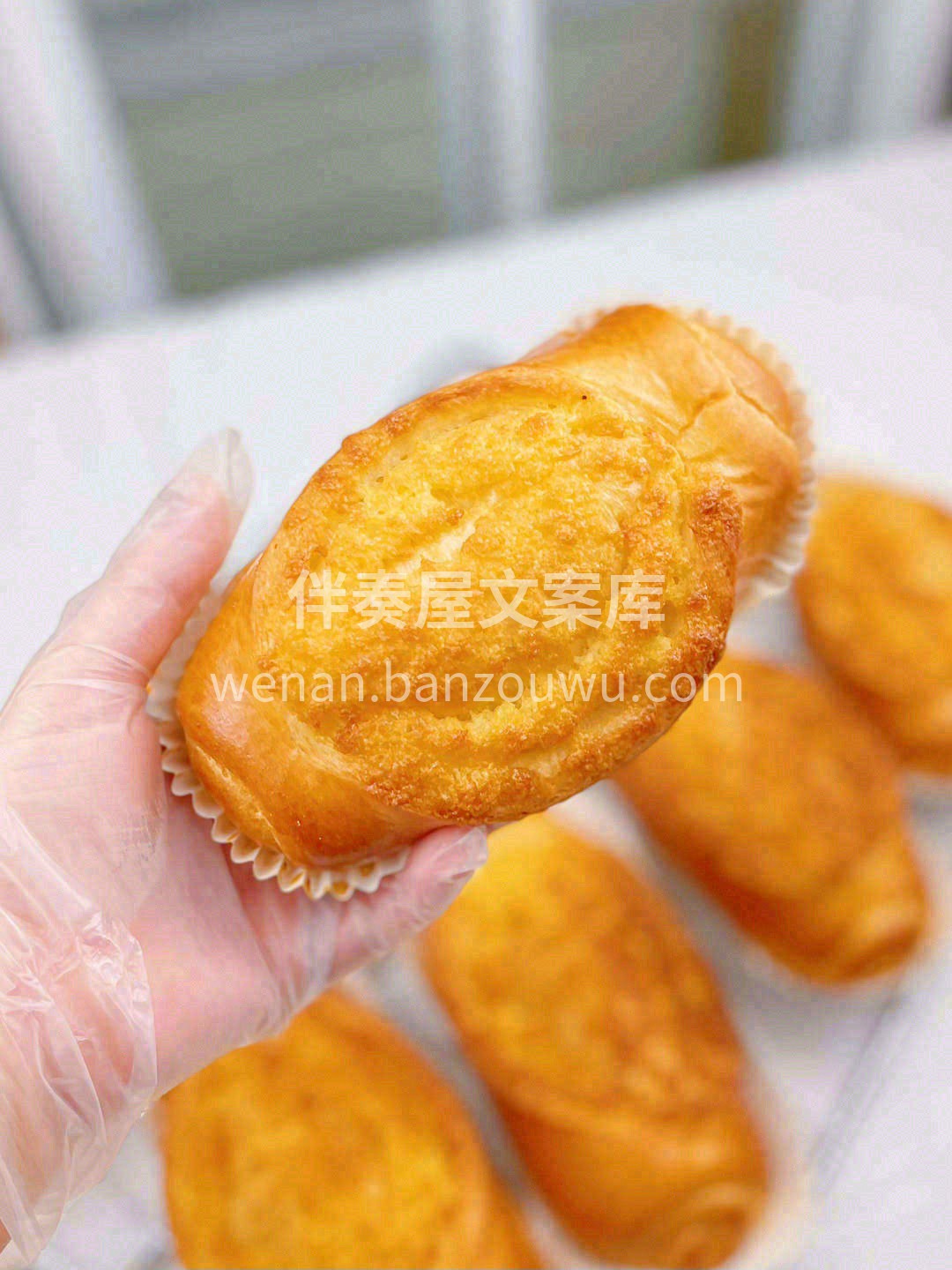 在素年锦时的时光里🔆 细品岁月静好🥰 听 配图3