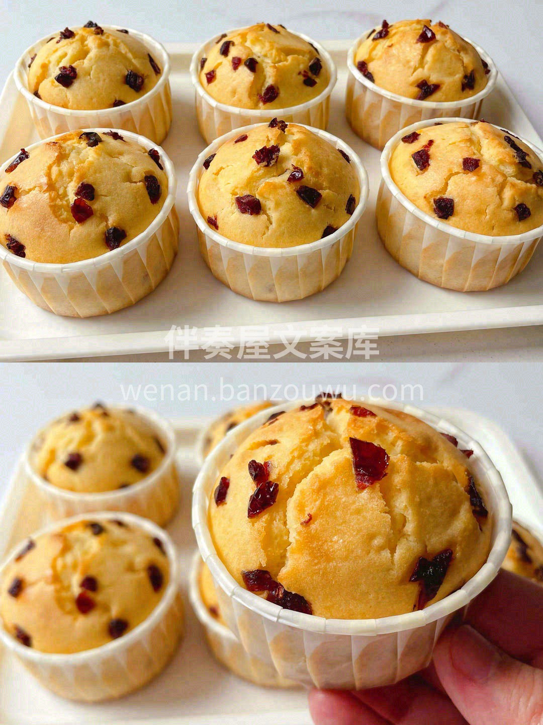 美好的清晨🔆，我们就用香甜美味的玛芬蛋糕 配图2