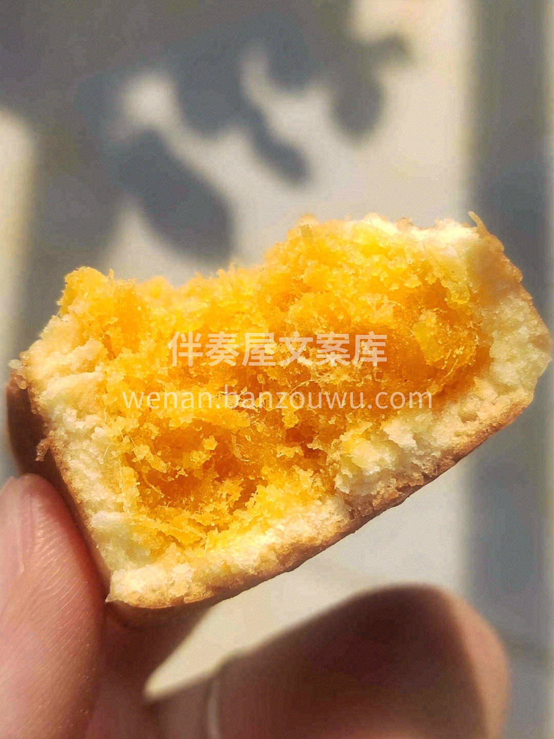 ❣️偏爱咸口的话，肉松蛋黄一定不会让你失 配图3