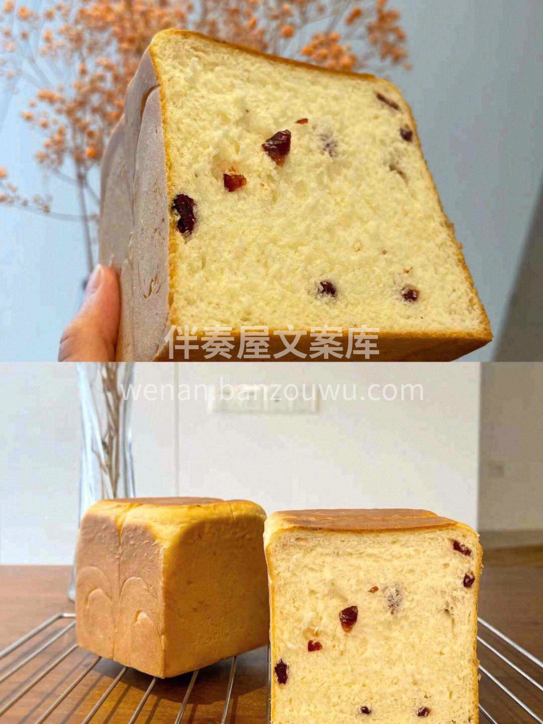 每一口都有浓浓椰香与蔓越莓的吐司🍞悠长的 配图2