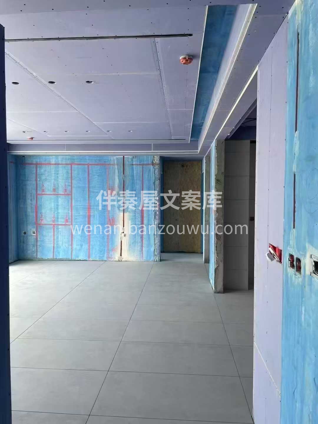 装修就像种树： 有人忙着 “包装树苗”  配图1