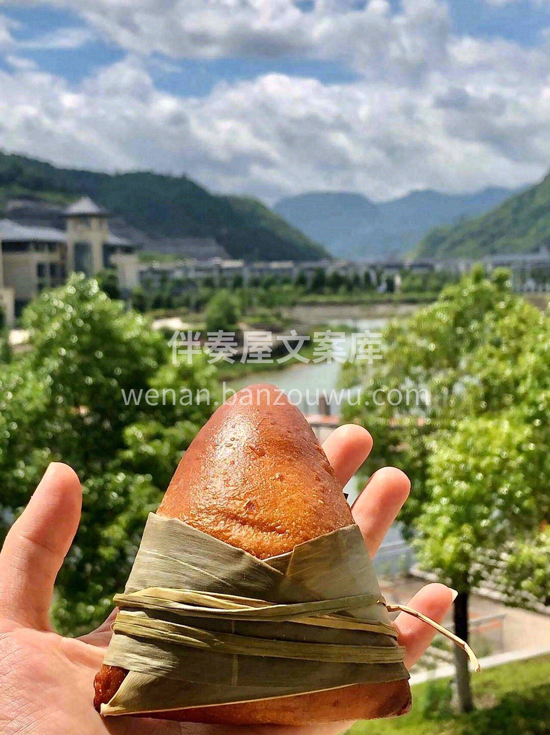 青青粽叶香🌿把传统揉进面包里🍥 一颗绵绵 配图2