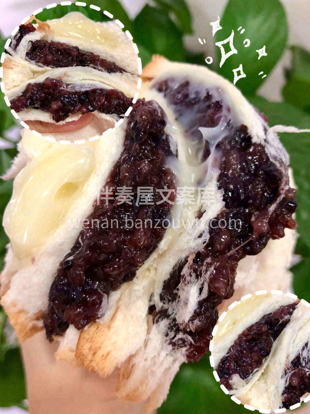 🌿春天到了，万物复苏，又开始到了春游的季 配图2