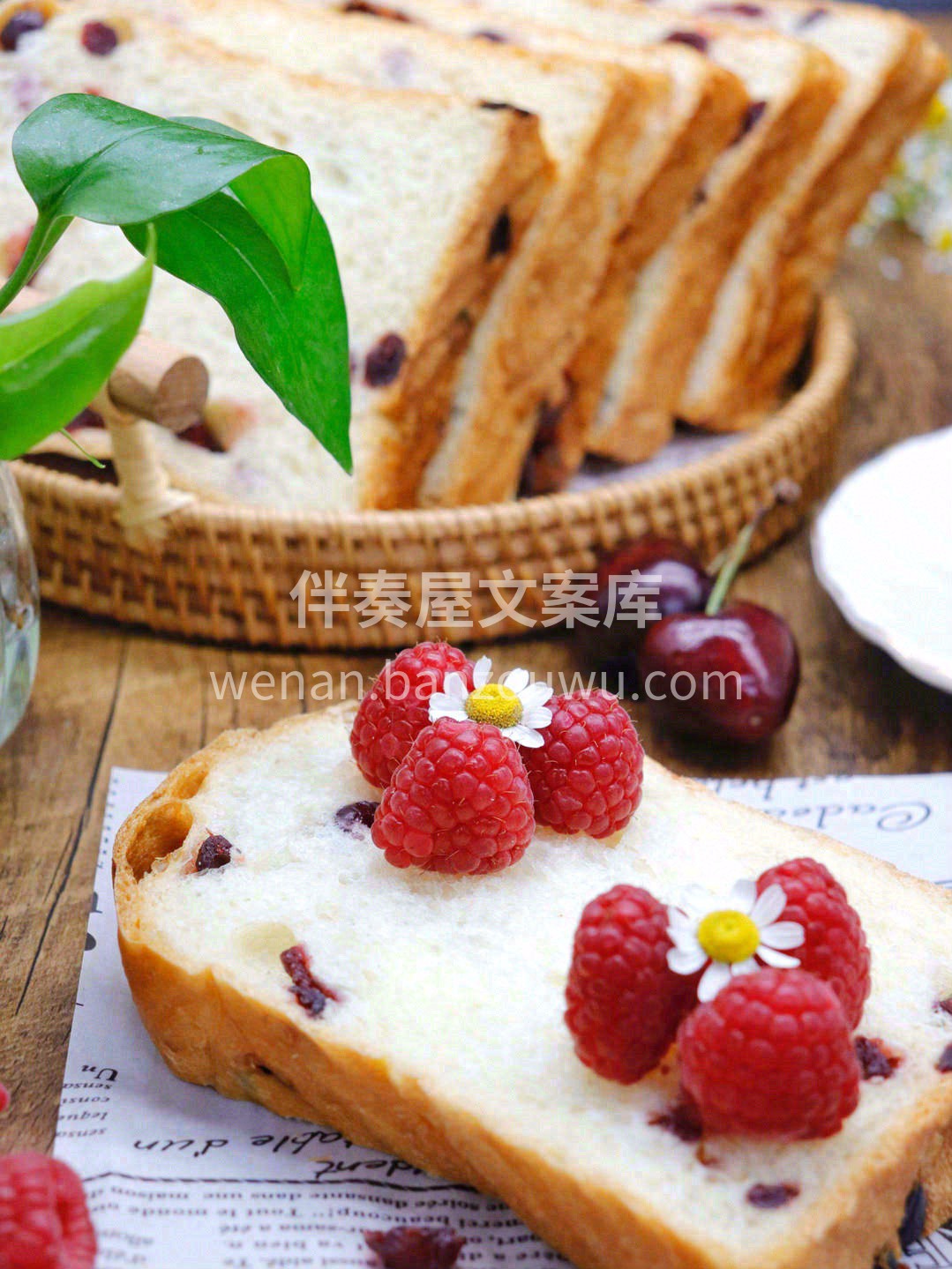 蔓越莓又称蔓越橘、小红莓✨是一种表皮鲜红 配图2