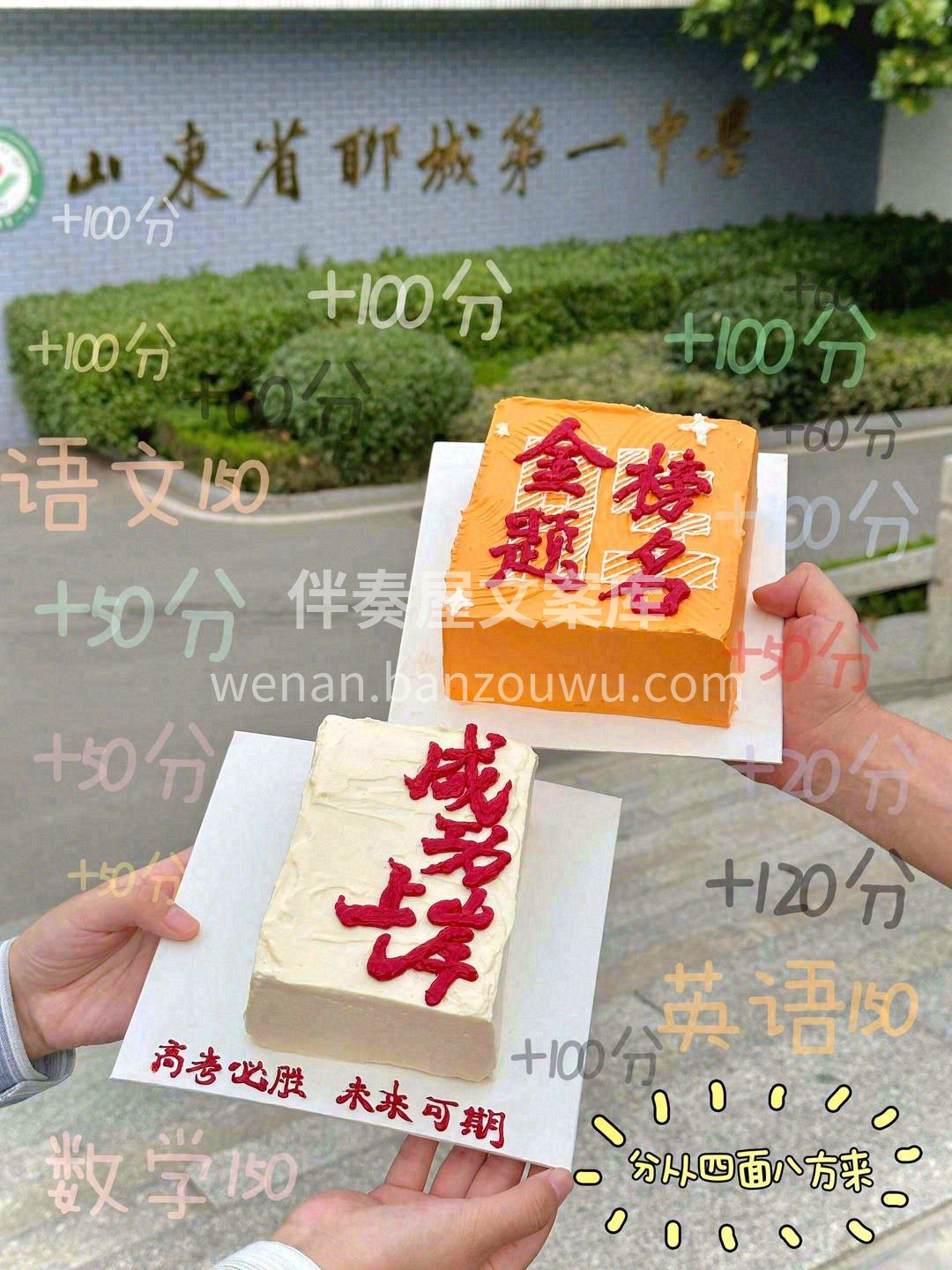 十八岁，成年亦乘风🎢 🌟如梦青春，豆蔻年 配图2