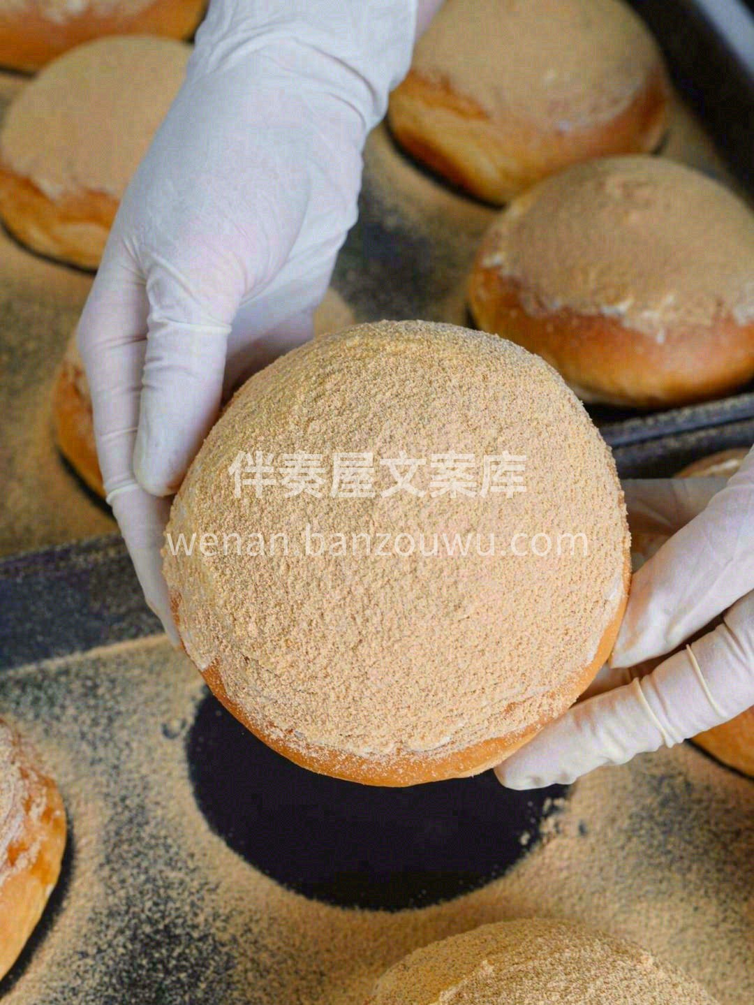 在素年锦时的时光里🔆 细品岁月静好🌸 听 配图3
