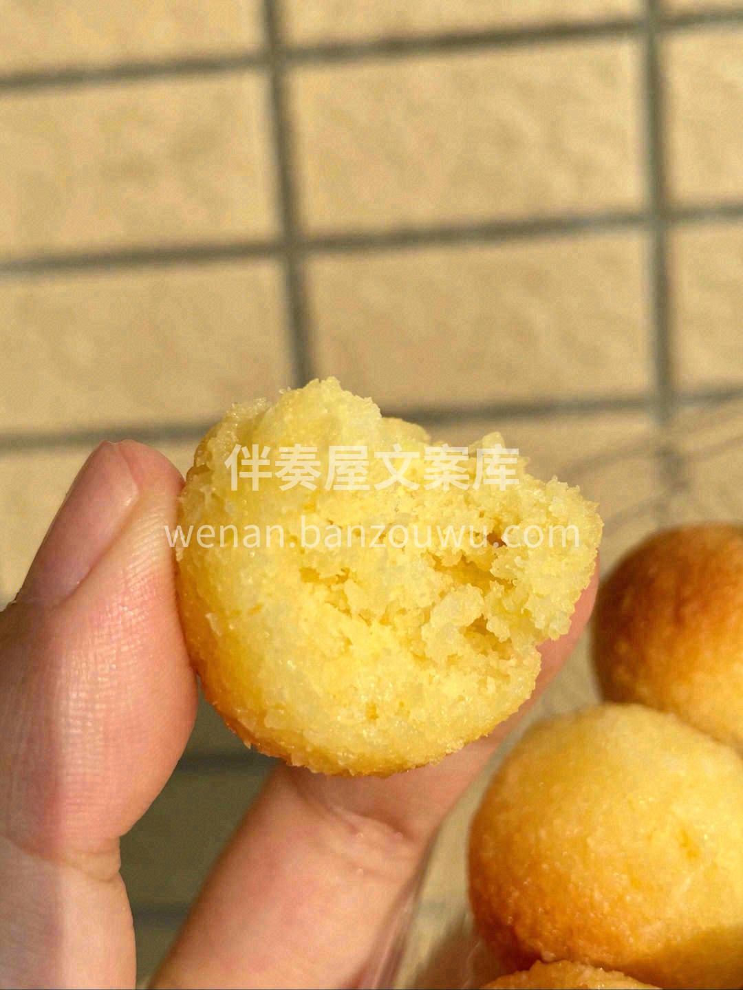 🎏精选最适合用于加工椰蓉的菲律宾LAGU 配图1