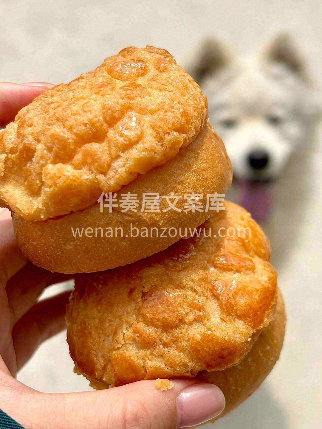 🥯菠萝包散发着浓浓的奶香 趁热拿起🔥，小 配图1