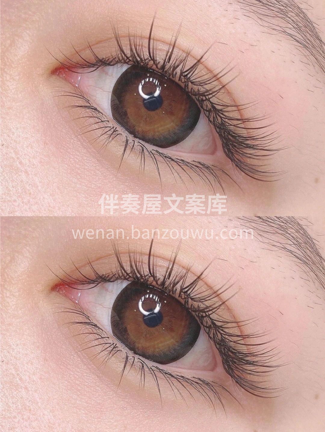摆脱普通 从精致的的美睫开始