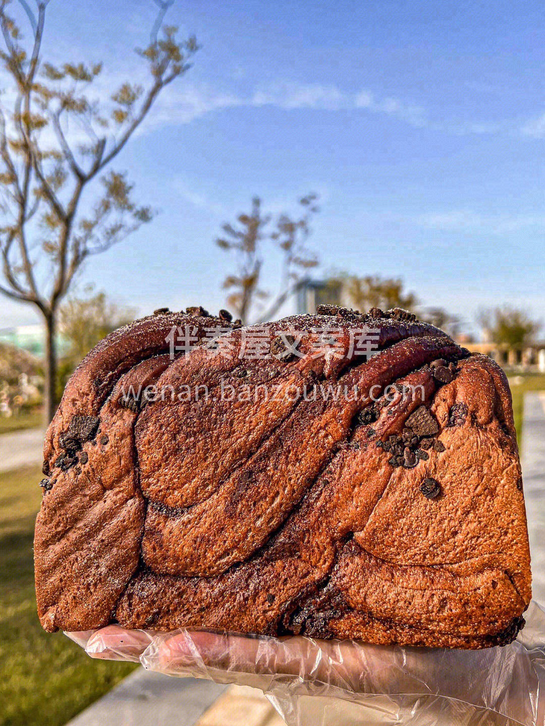 对于一个巧克力好者来说👉这是我吃过坠好吃 配图3
