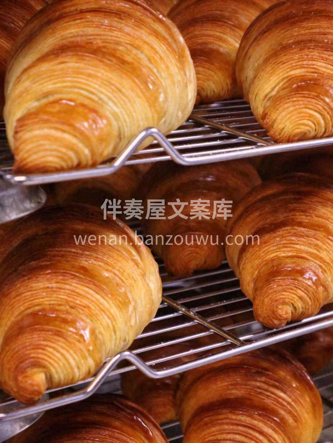 🧡| 𝓭𝓲𝓷𝓷𝓮𝓻吃饱饱 没烦恼*·°  配图2