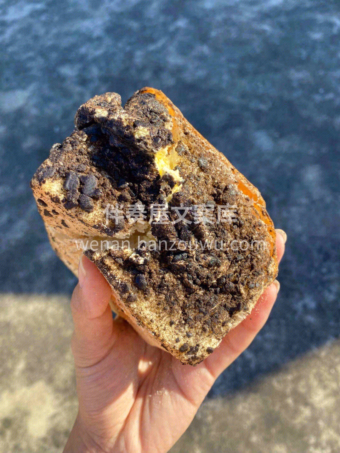 🍫巧克力的表面铺满了可可粉✨是有点微苦的 配图3