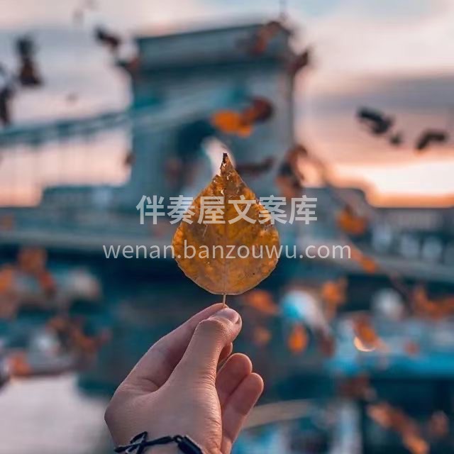 有了自己的家以后 每个平凡的日子都闪着光