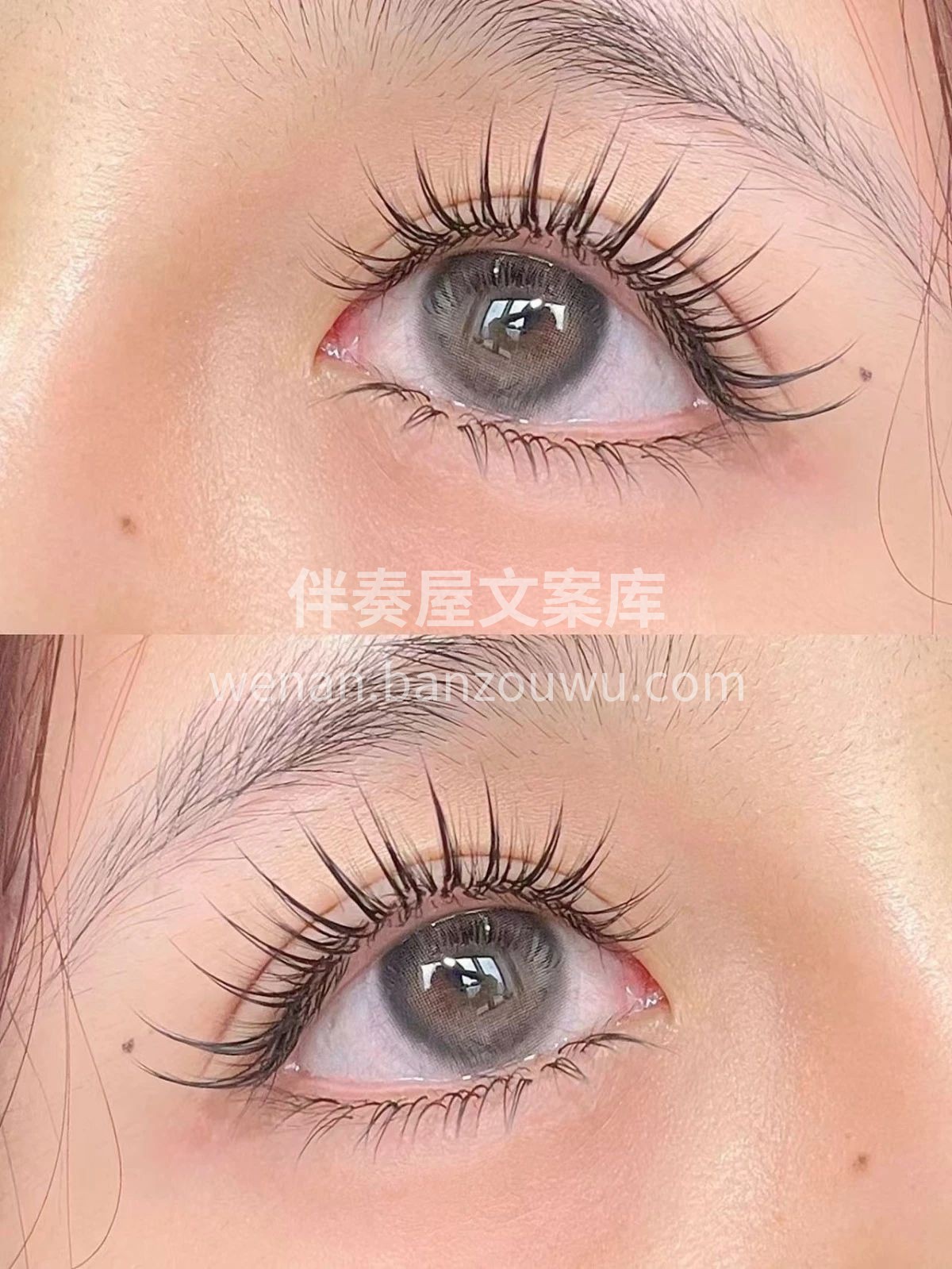 垂眸掩嘴笑 · 清眸如画 秀色空绝世 ·