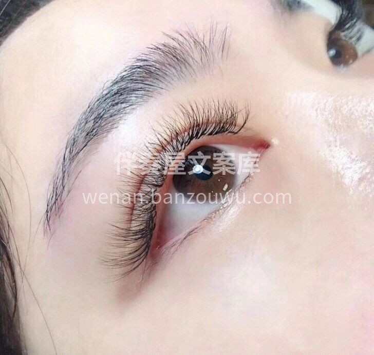 💛 你的未来 " 我无法预知 " 但你 