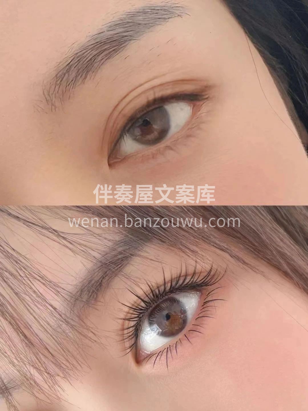 高级感太阳花款美睫 自带眼妆功能已上线✔