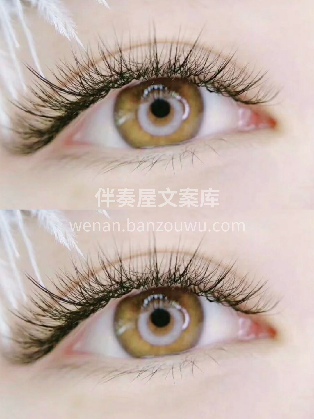 ╭ ❀睫毛翩若惊鸿❀ 眼中一抹柔情波动 
