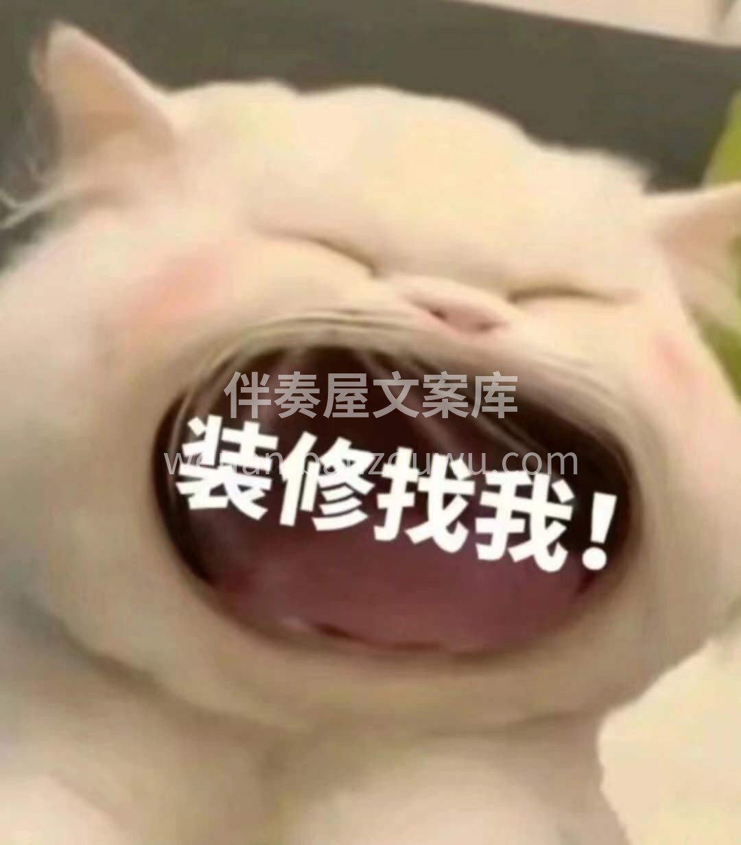六月已过半，我要开始冲业绩了 发圈‮量数