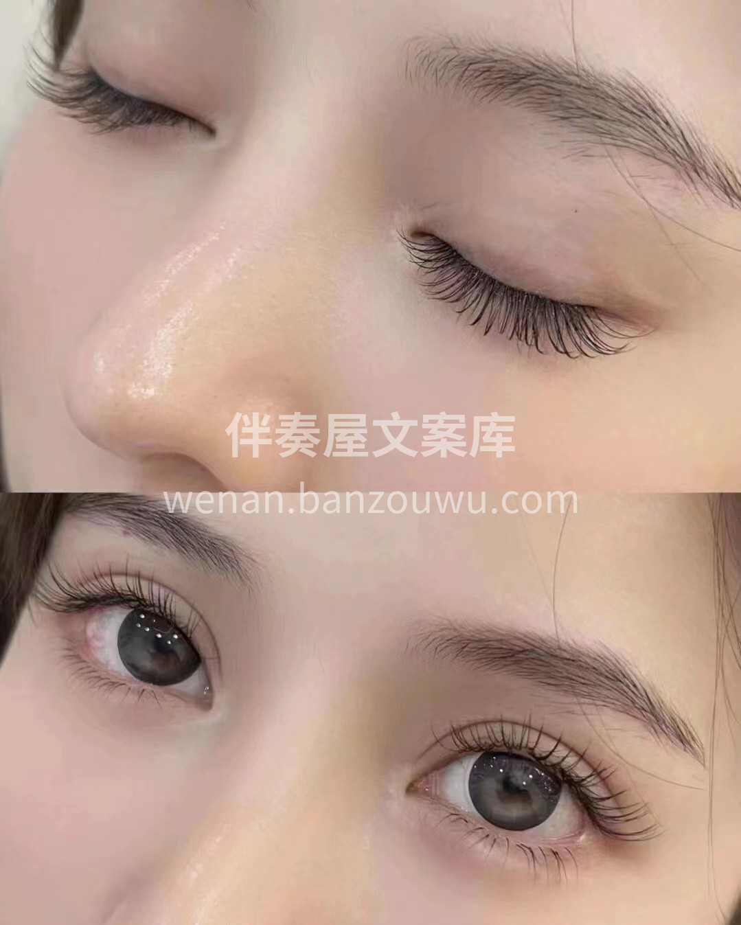 精致的睫毛是美丽该有的样子 角蛋白翘睫 