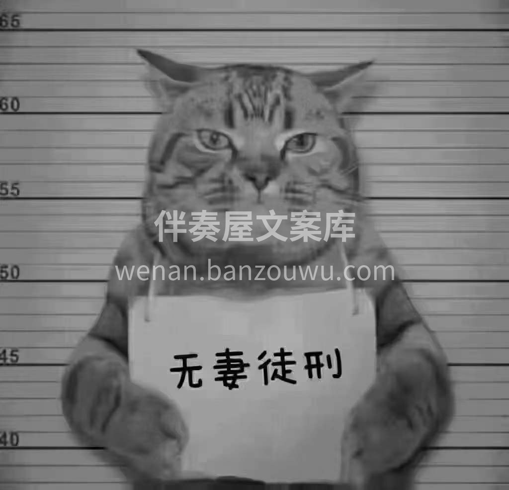 不装修会判刑吗？ 会，‮无判‬妻 ​因为