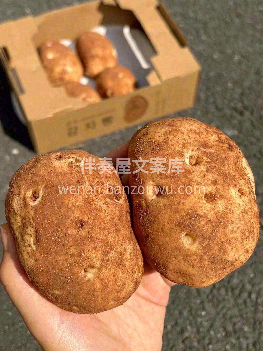 🥔它朴素、笨拙，仿佛在说“我很丑，但我很 配图3