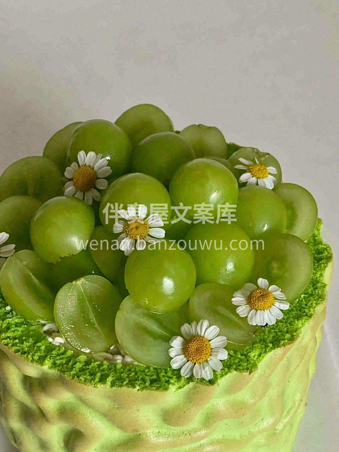 你̤̮的̤̮春̤̮日̤̮好̤̮运̤̮正̤ 配图2