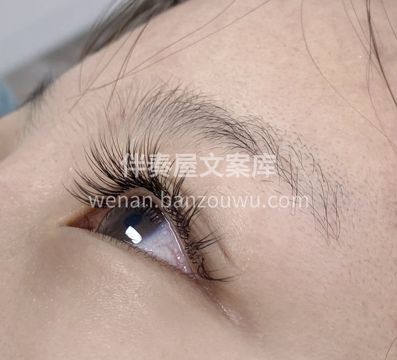 美睫，为你的眼睛增添灵动神韵。宛如天生， 配图3