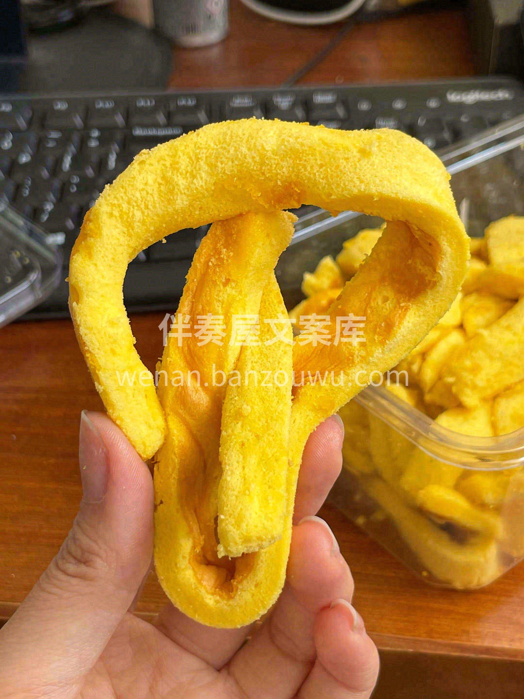 🌿秋天拍了拍你说“出来吃蛋糕边了🍰” # 配图1