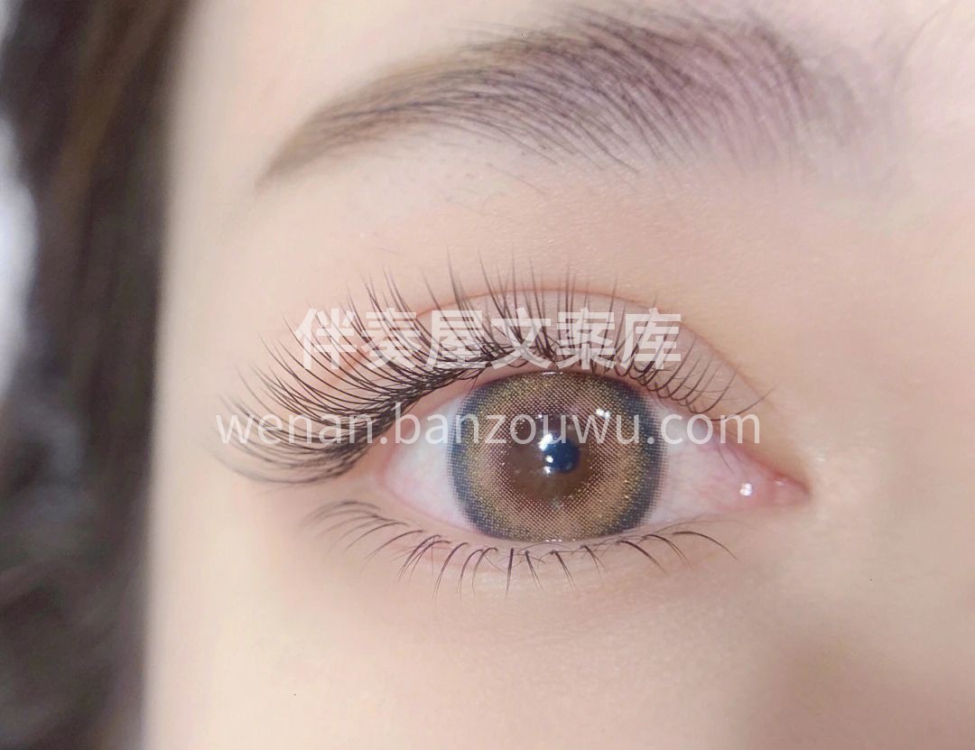 ┍ıllıllı۰• Mᴇɪ ᴊɪᴇ •