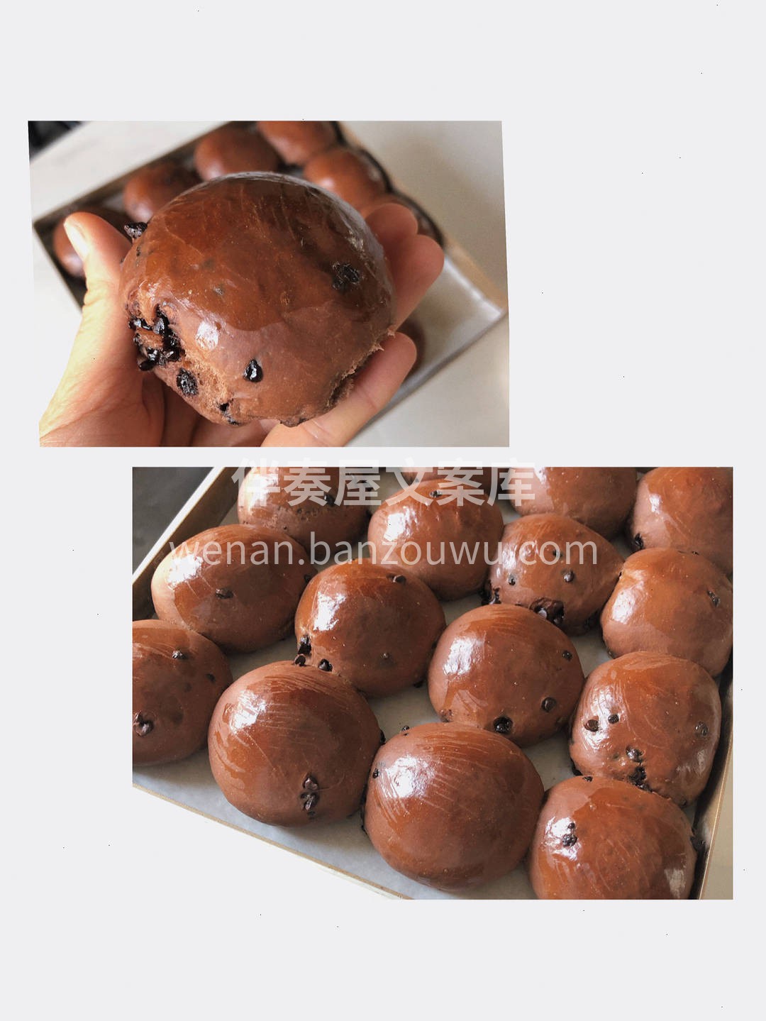 🍫巧克力给了它油画般的色彩🖼️ 我们用它 配图1