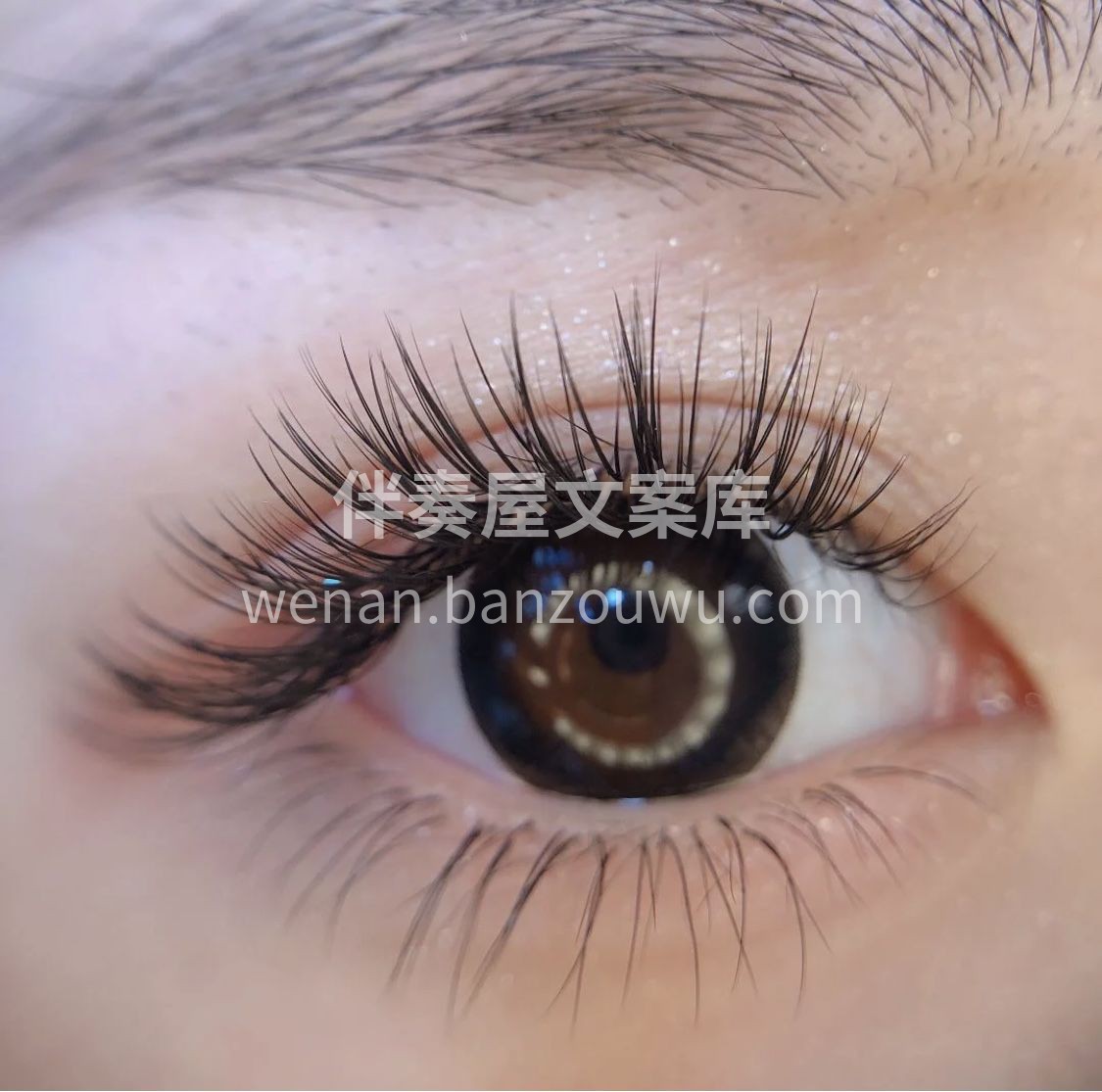 让你好看的是眼睛👀 让你眼睛💜好看的是睫