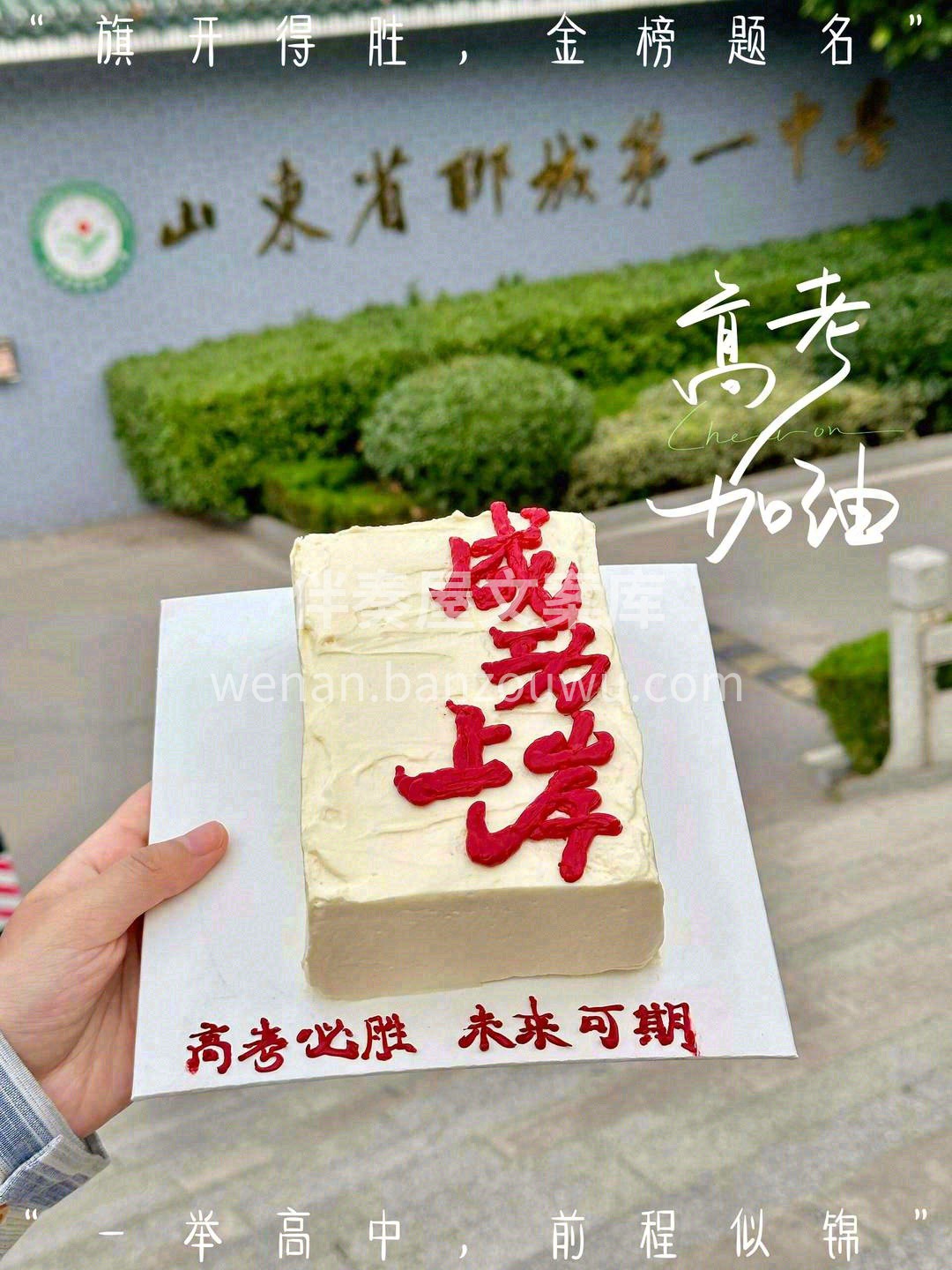 十八岁，成年亦乘风🎢 🌟如梦青春，豆蔻年 配图1