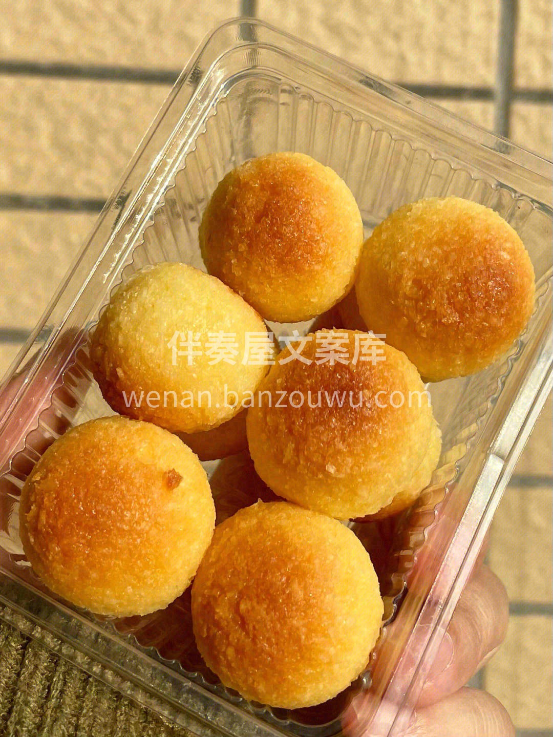 🎏精选最适合用于加工椰蓉的菲律宾LAGU 配图3