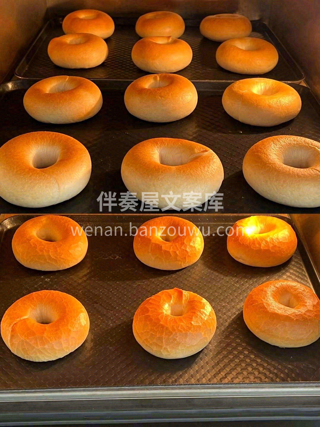 长得像个甜甜圈🍩，但比起甜甜圈这个热量炸 配图3