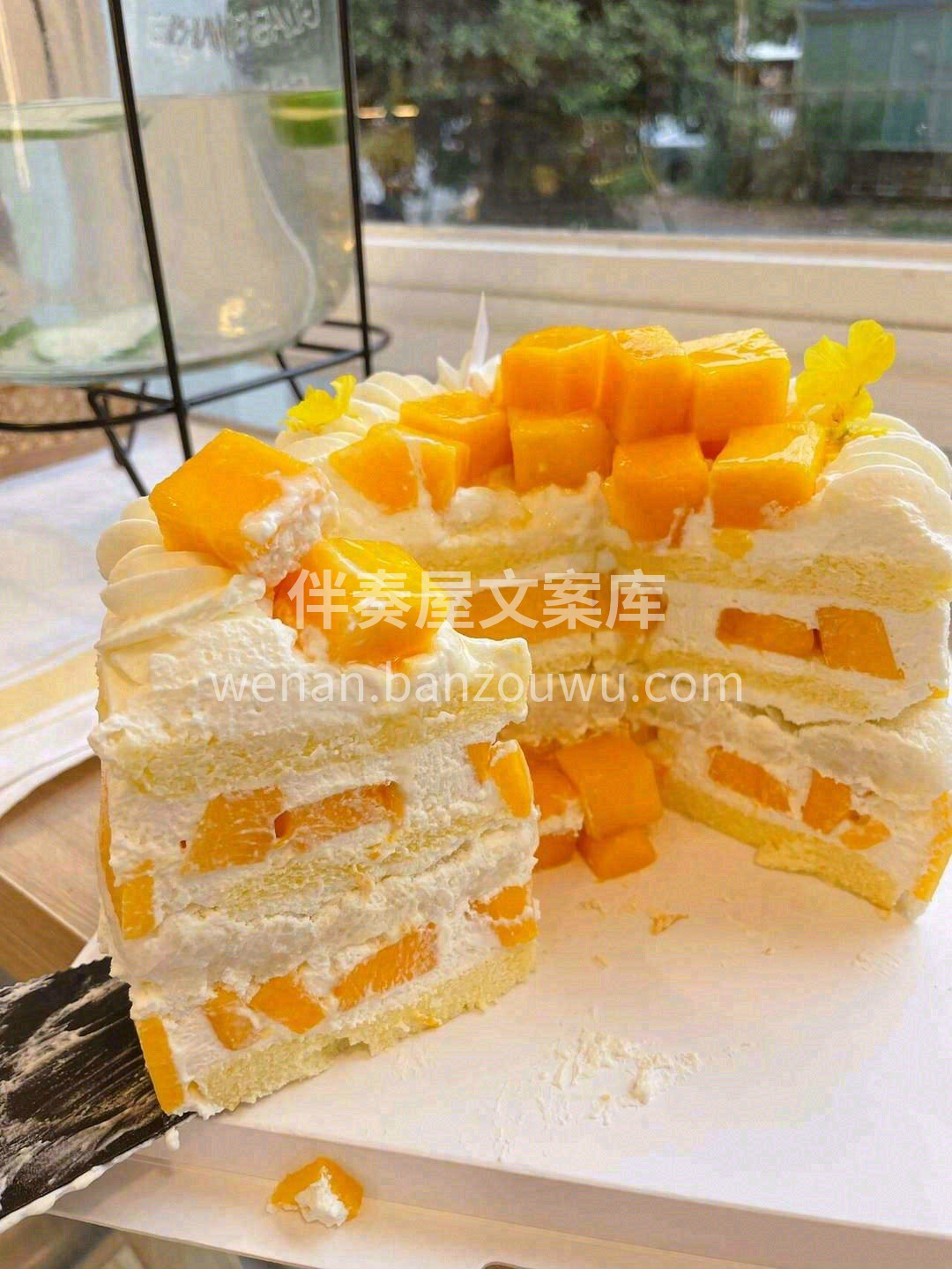人人心中有玫瑰🌹， 手中有桔梗✨ ， 嘴 配图3