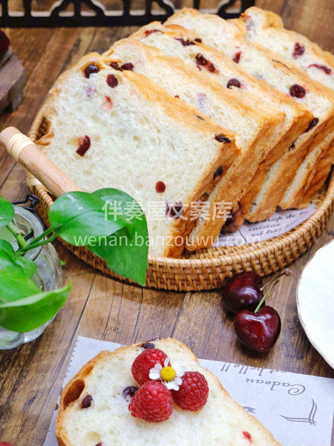 蔓越莓又称蔓越橘、小红莓✨是一种表皮鲜红 配图1