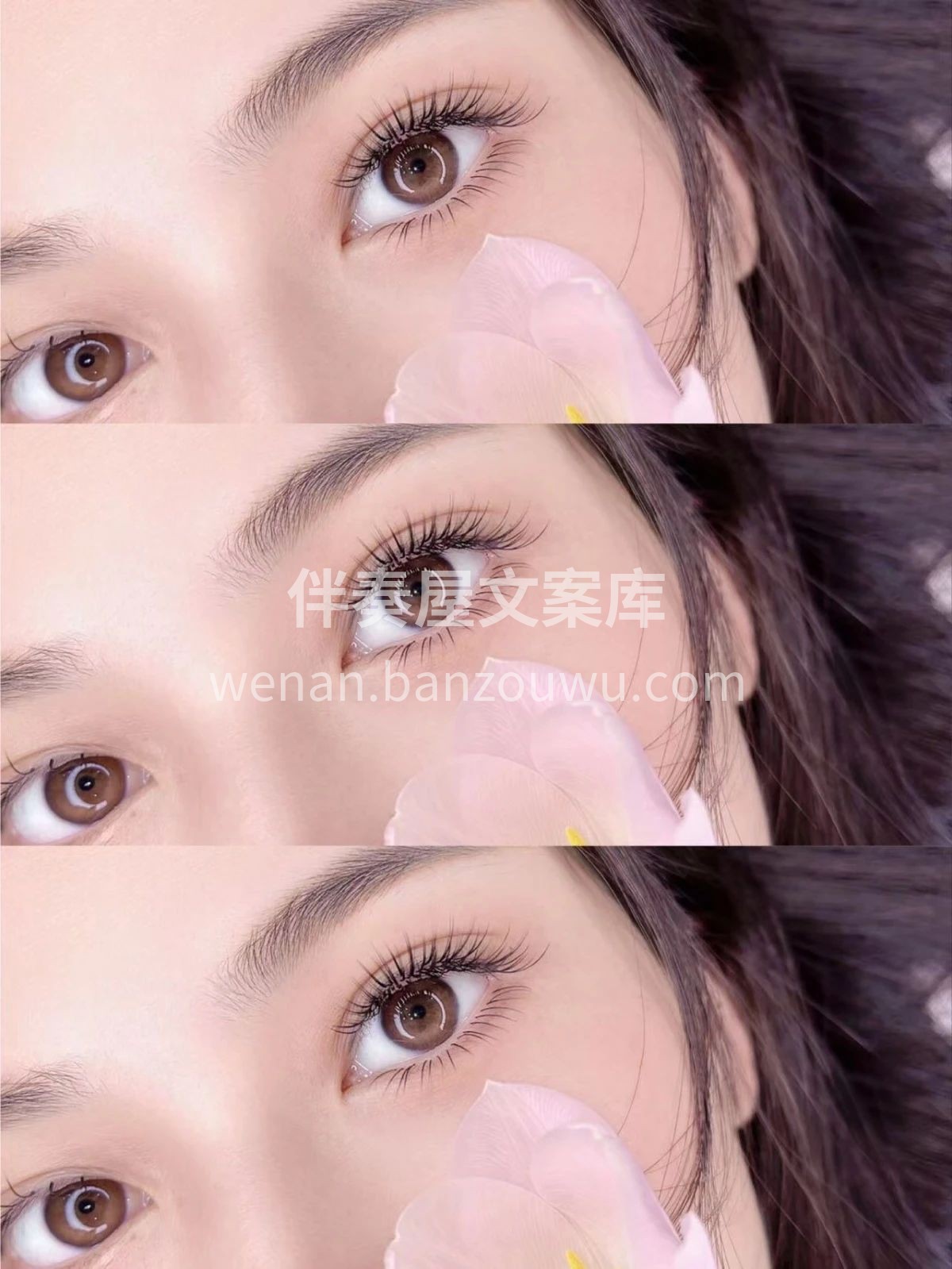 ʚ๑* Mᴇɪ ᴊɪᴇ *๑ɞ 眉似春山