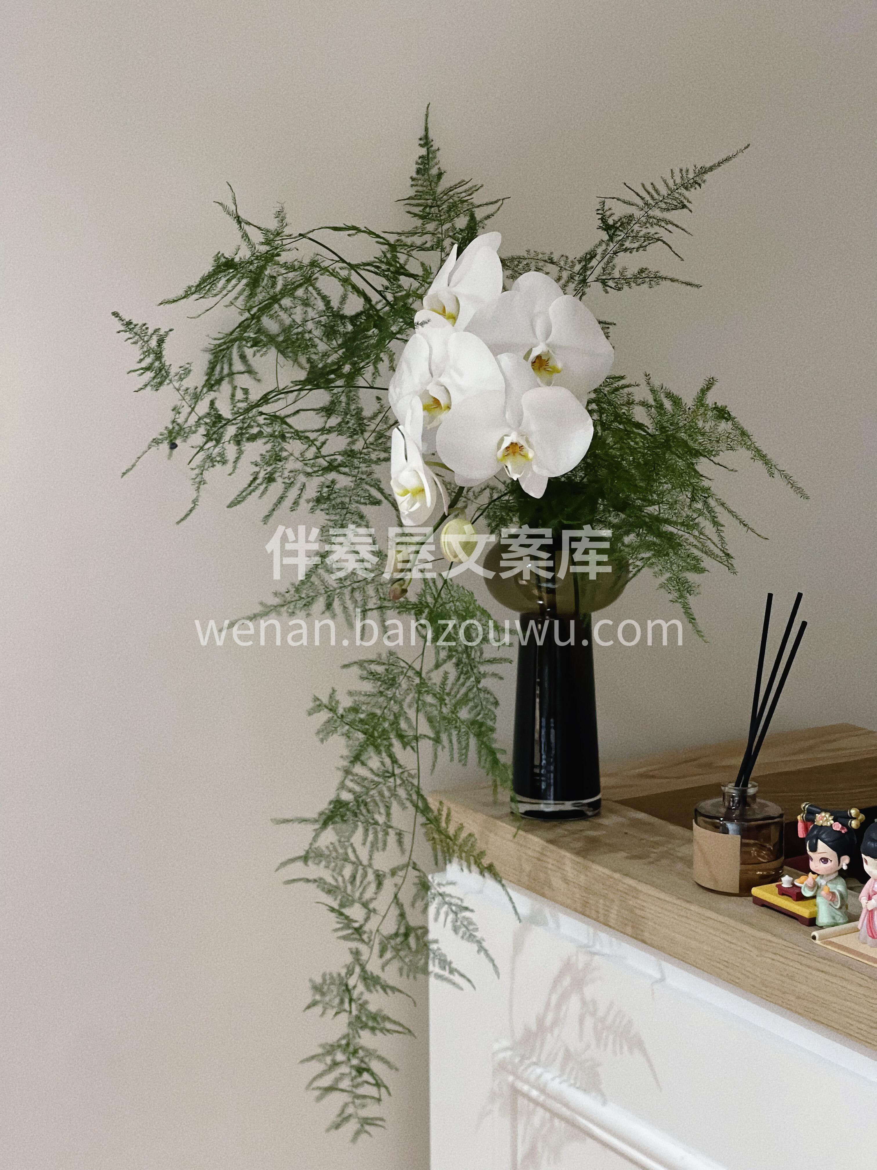 一遍又一遍爱上家里的每个角落😘 也许是不同的🌸鲜花 带来了治 配图3