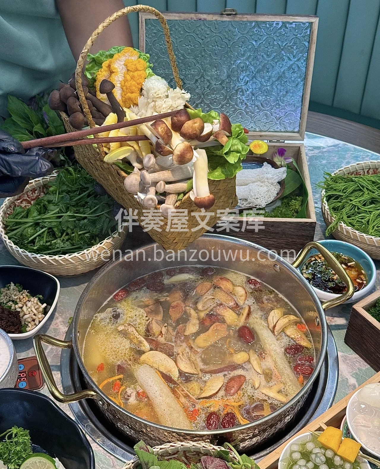 云南的菌子季，真的好幸福！！我们点的菌子 配图1