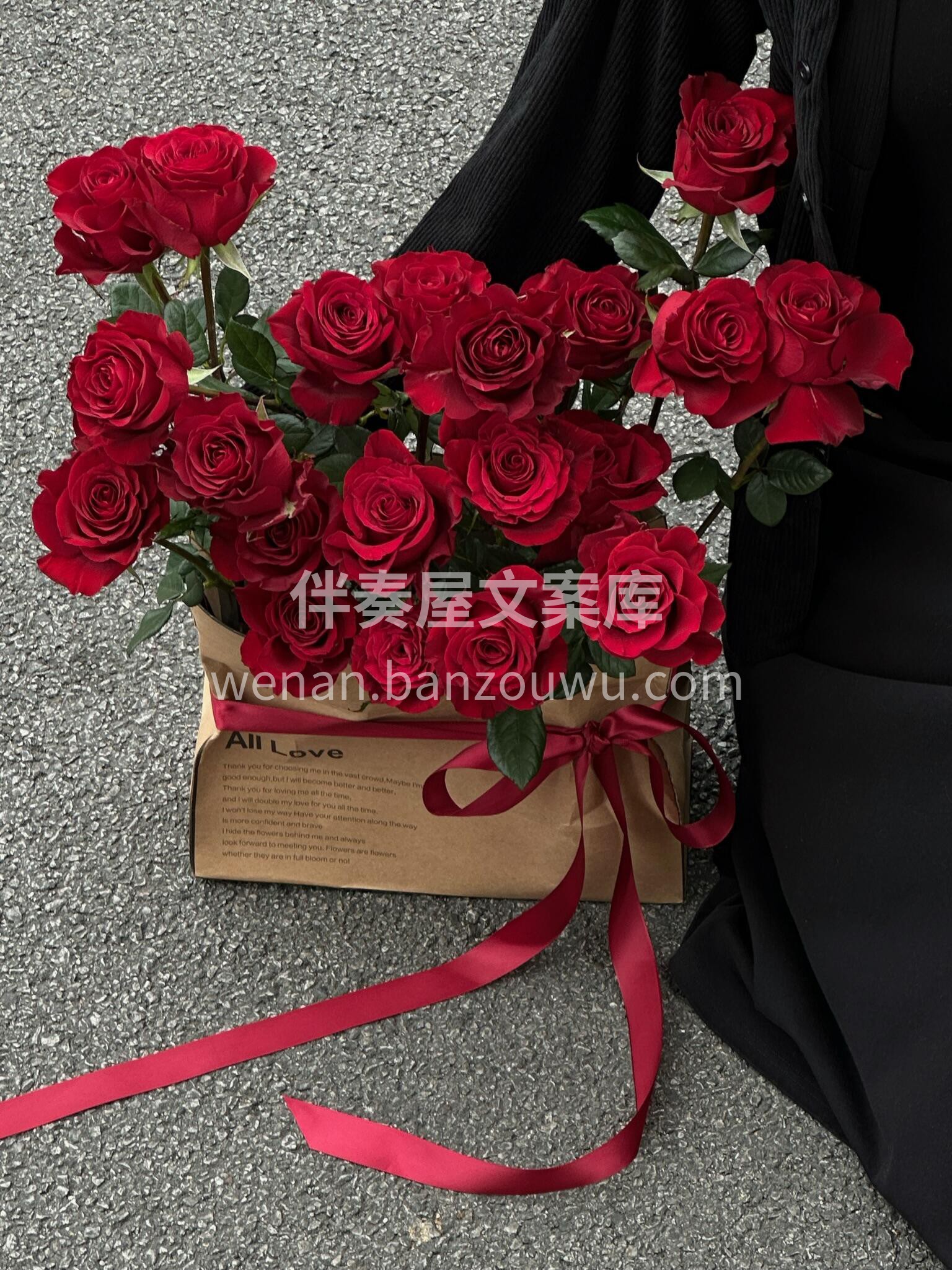 怎么样得到你👧 抱抱袋还是抱抱你 自然复古风红玫瑰🌹抱抱袋  配图2
