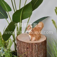 绿植组合陈列设计 绿植场景组合起来后视觉效果更好 利用绿植🌵 配图6