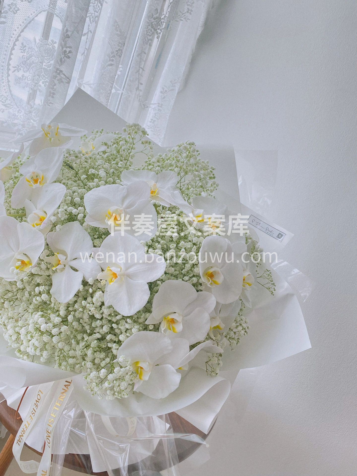满天星蝴蝶兰花束 顾客送老婆的生日花束  配图2