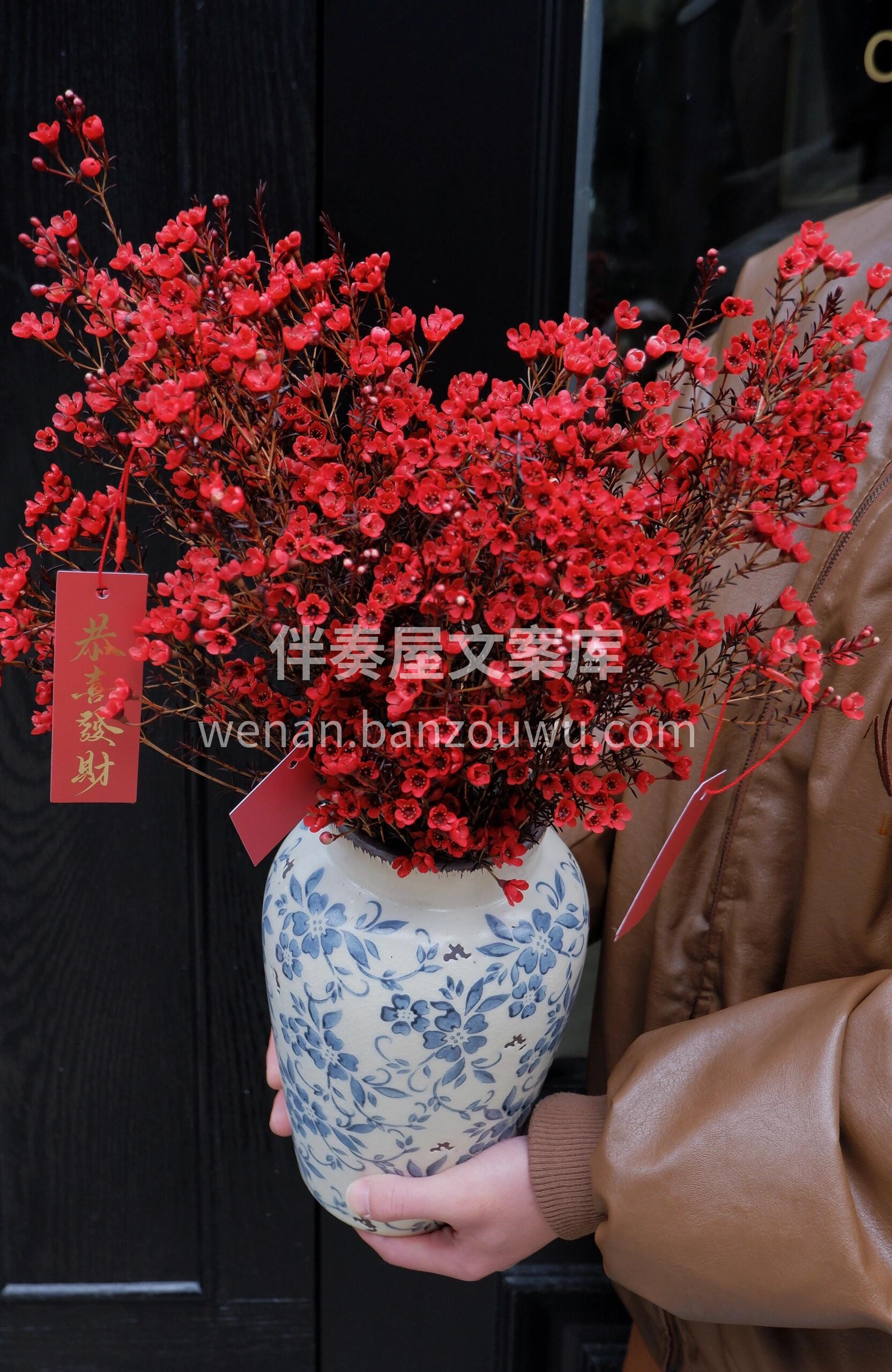 🗓新年澳洲腊梅瓶插花 这个冬天❄的花瓶有着落了 澳洲腊梅精致 配图2