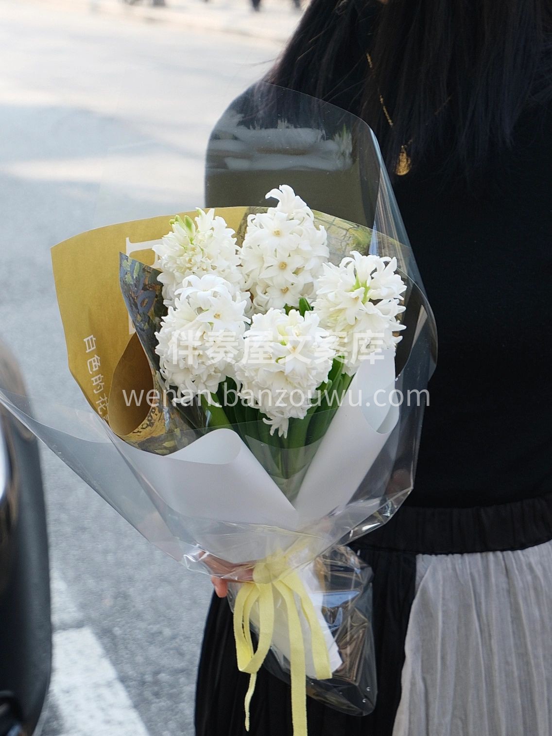 风信子花束预定 白色风信子代表着纯洁、暗 配图3
