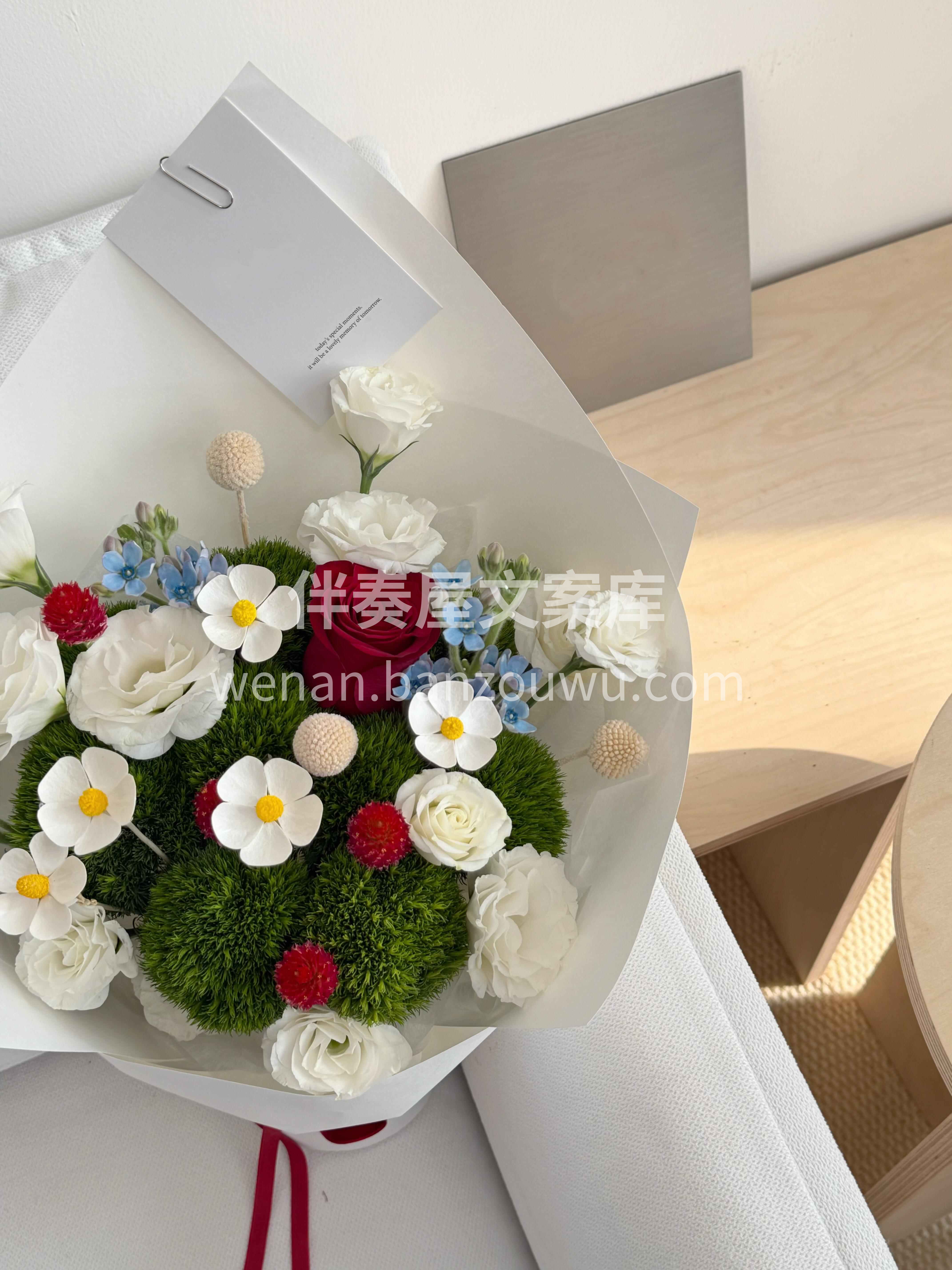 也许世界上有五千朵和你一样的花 但只有你是我的玫瑰🌹 配图1