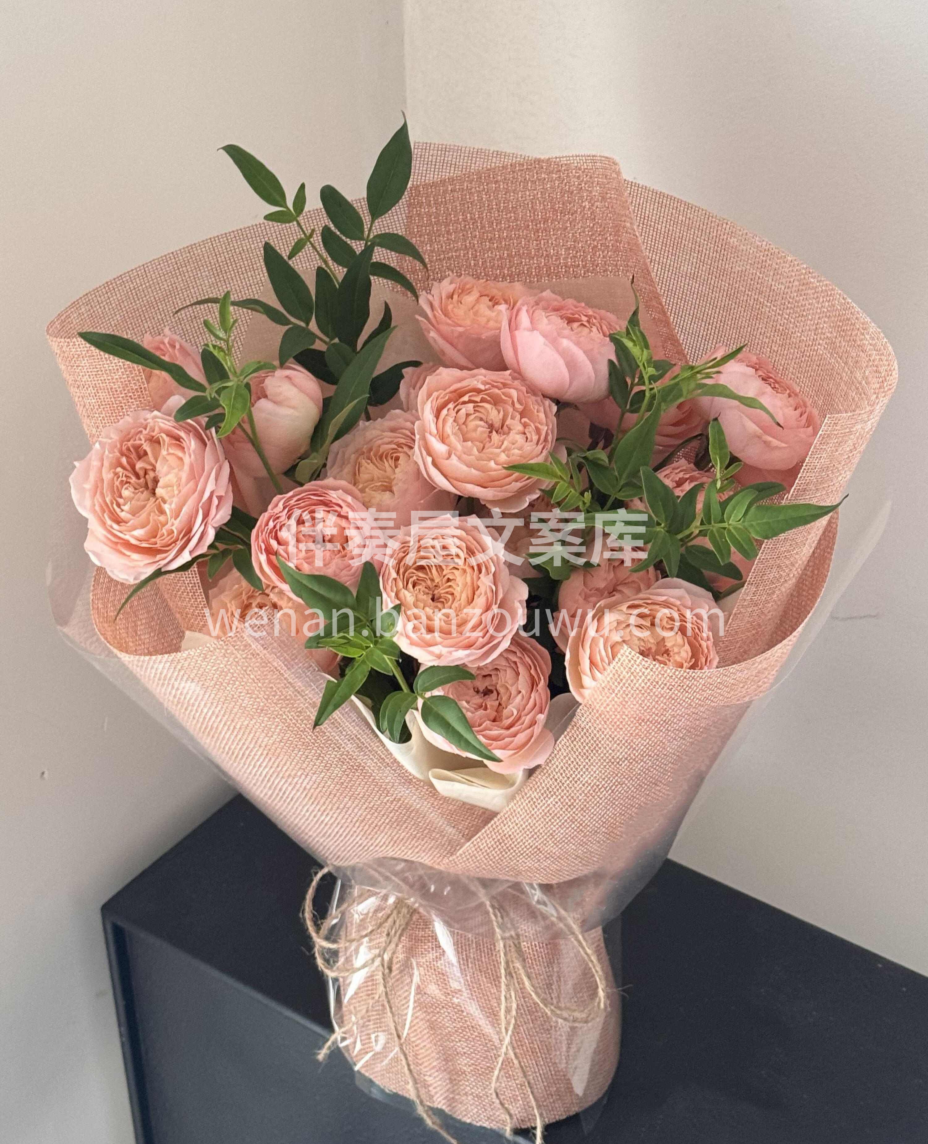 罗密欧的玫瑰“朱丽叶塔”🌸 橘粉色朱丽叶塔 像极了落日西下的 配图3