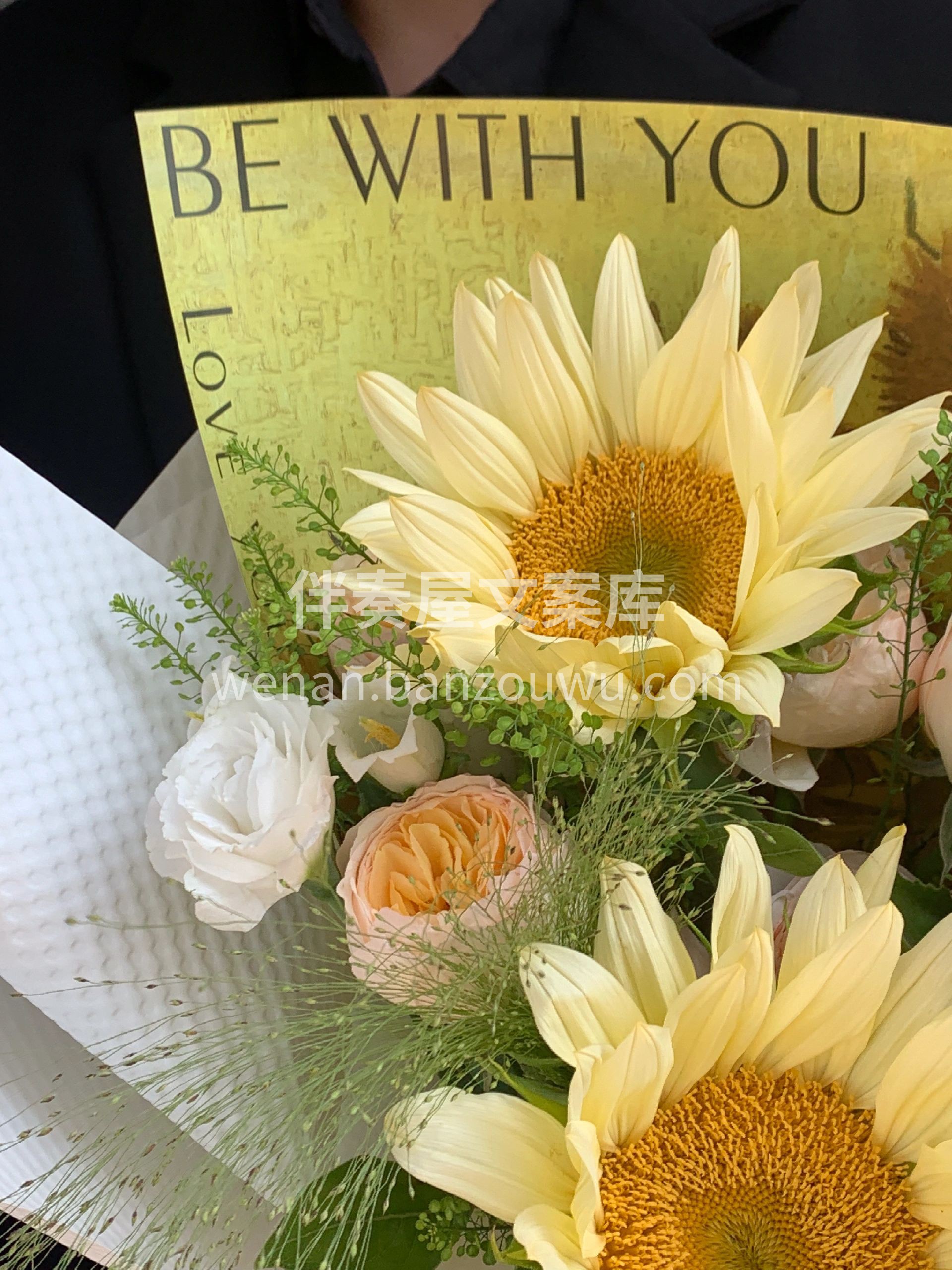 毕业季花束💐 对比普通的向日葵🌻奶油向日 配图2
